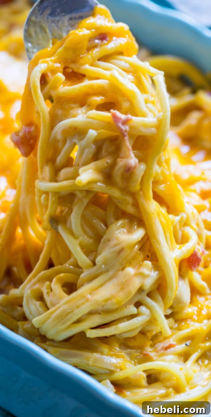 Kickin' Chicken Spaghetti 5 A serving of Spicy Chicken Spaghetti in a bowl, showing the rich, creamy texture and melted cheese, ready to be enjoyed.