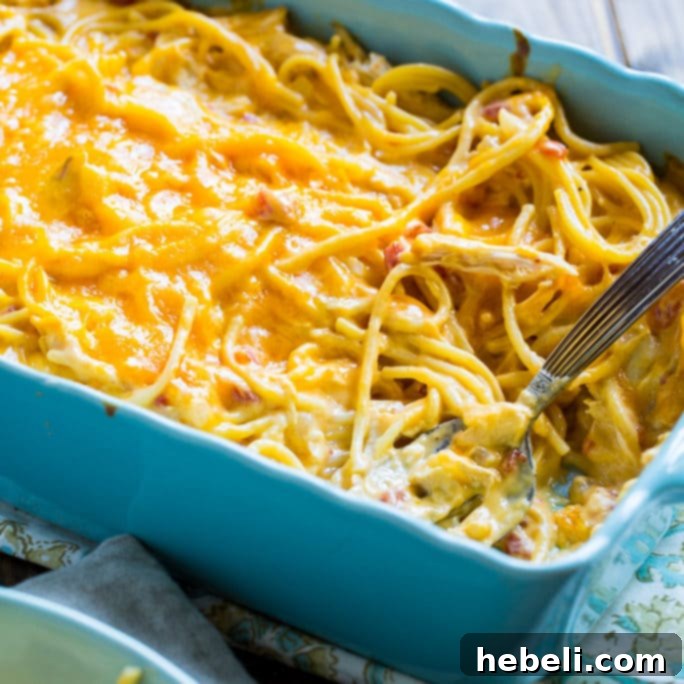 Kickin' Chicken Spaghetti 6 Close-up of a bowl of Spicy Chicken Spaghetti, emphasizing the layers of cheese and pasta, with a hint of spice.