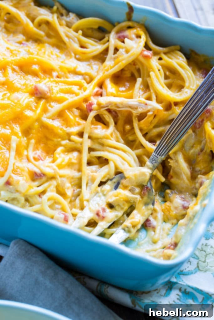 Kickin' Chicken Spaghetti 7 Spicy Chicken Spaghetti in a white bowl, garnished with fresh parsley, ready to be served.