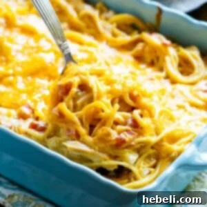 Spicy Chicken Spaghetti