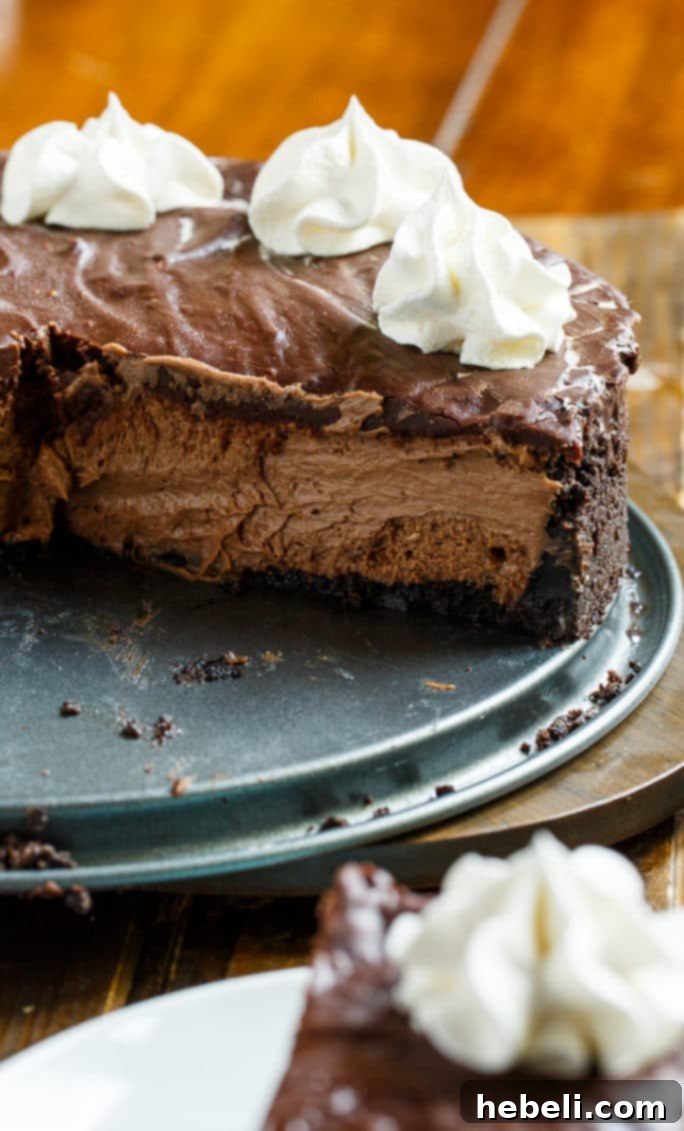Perfect Chocolate Cheesecake with elegant swirls.