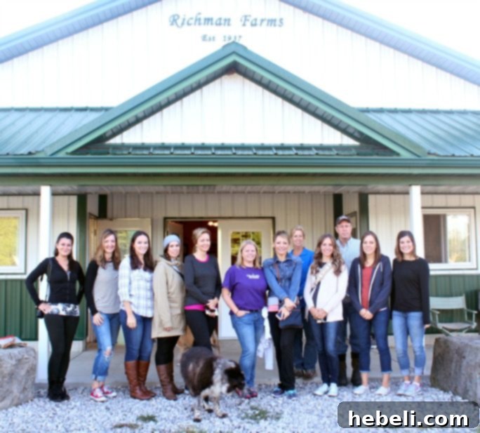 A cow at Richman Dairy Farm in Ohio.