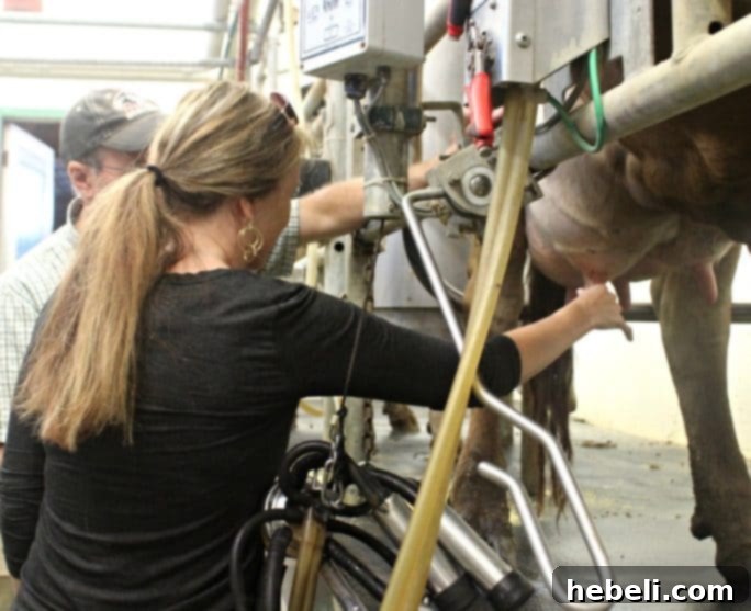 Group picture during Ohio Dairy Farm tour with ADA-Mideast.