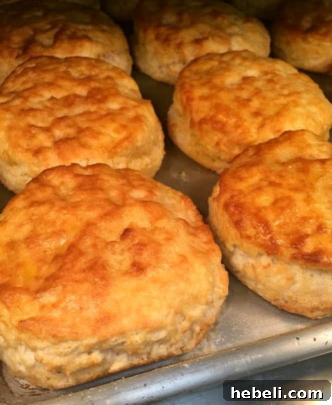 Bojangles Biscuits