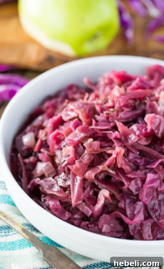 Ruby Red Braised Cabbage 4 A serving of Braised Red Cabbage, showcasing its rich color and tender texture, ready to be enjoyed.