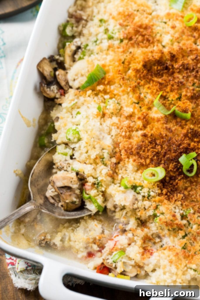 Close-up of creamy Oyster Casserole with vegetables