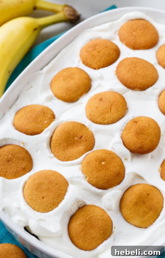 A bowl of Bananas Foster Banana Pudding topped with fresh whipped cream and vanilla wafers.