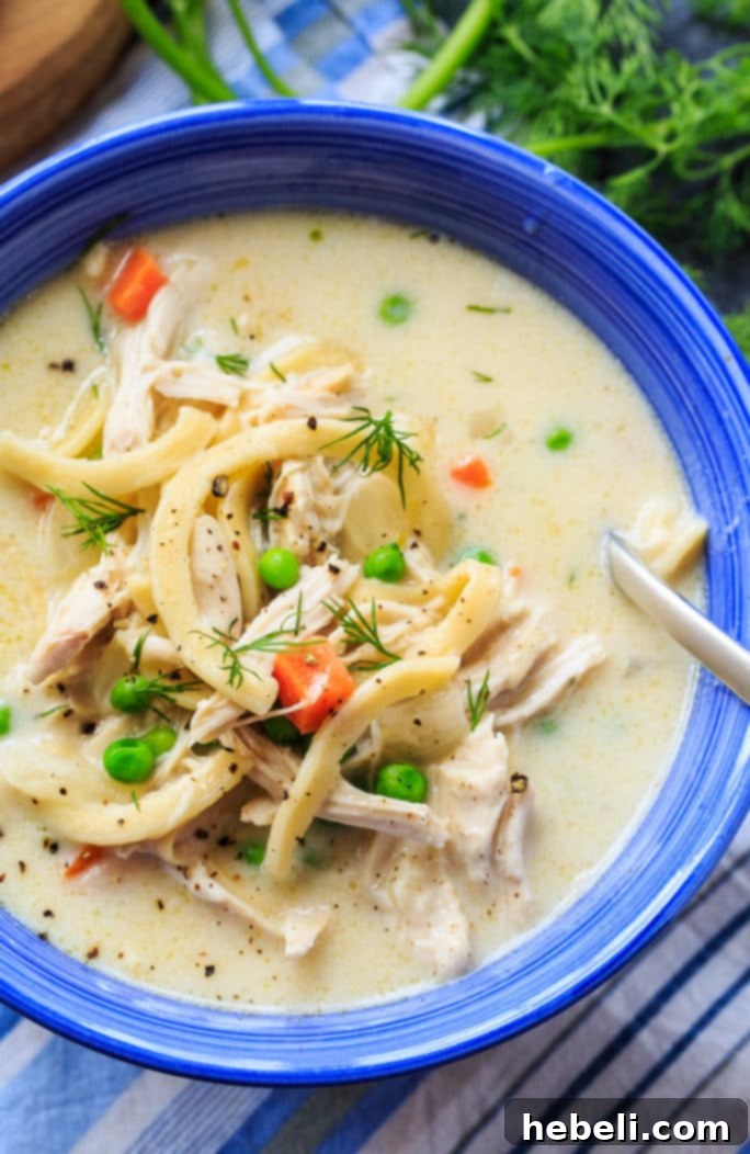 Comforting Chicken Noodle Soup 5 Egg noodles being added to creamy chicken noodle soup