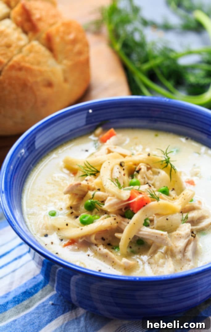 Comforting Chicken Noodle Soup 6 A bowl of creamy chicken noodle soup garnished with fresh dill