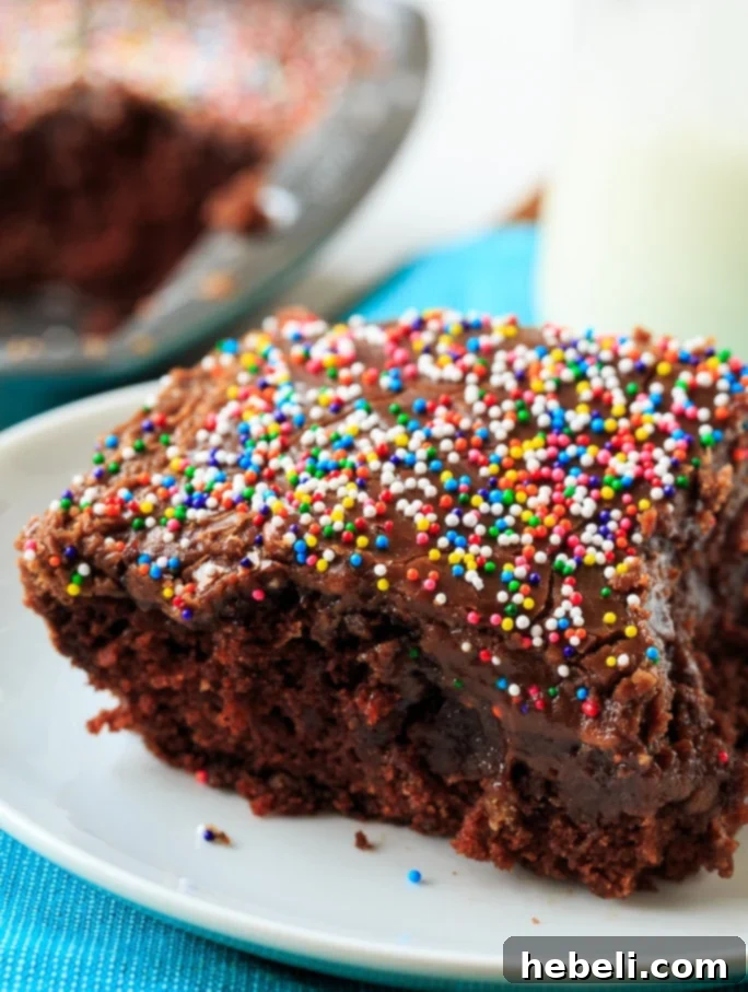 Close-up of moist Chocolate Wacky Cake texture