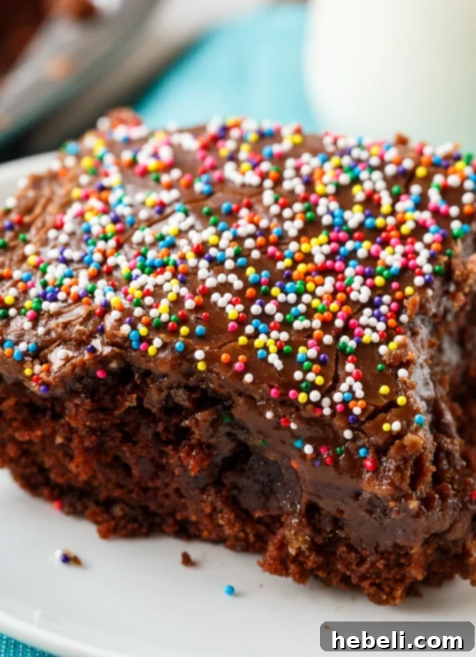 Step-by-step preparation of Chocolate Wacky Cake batter in pan