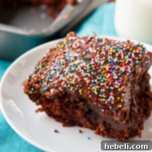 Chocolate Wacky Cake (Depression Cake)
