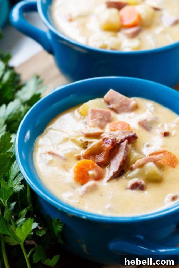 Comforting Cheesy Ham and Potato Chowder 5 Serving of Cheesy Ham and Potato Chowder