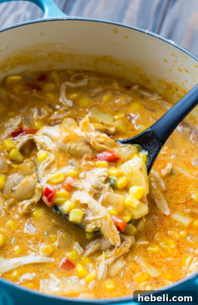 Creamy Spicy Chicken & Sweet Corn Chowder 3 Spicy Chicken and Corn Chowder ready to serve
