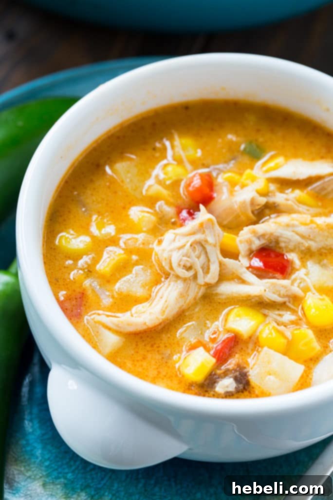 Creamy Spicy Chicken & Sweet Corn Chowder 9 Close-up of Spicy Chicken and Corn Chowder