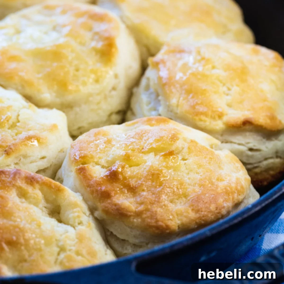 Angel Biscuits in a cast iron pan.