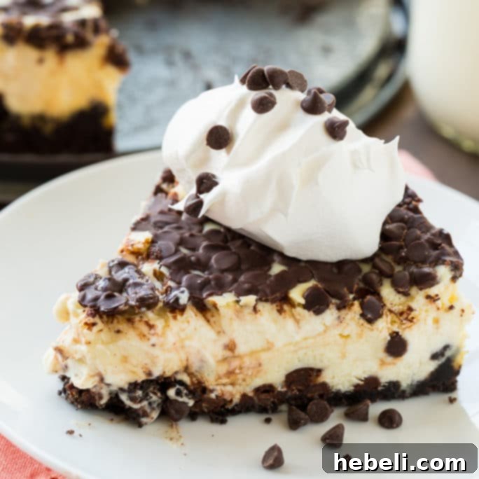 Decadent Chocolate Chip Delight 2 Classic Chocolate Chip Cheesecake with Oreo crust on a serving plate, ready to be enjoyed.