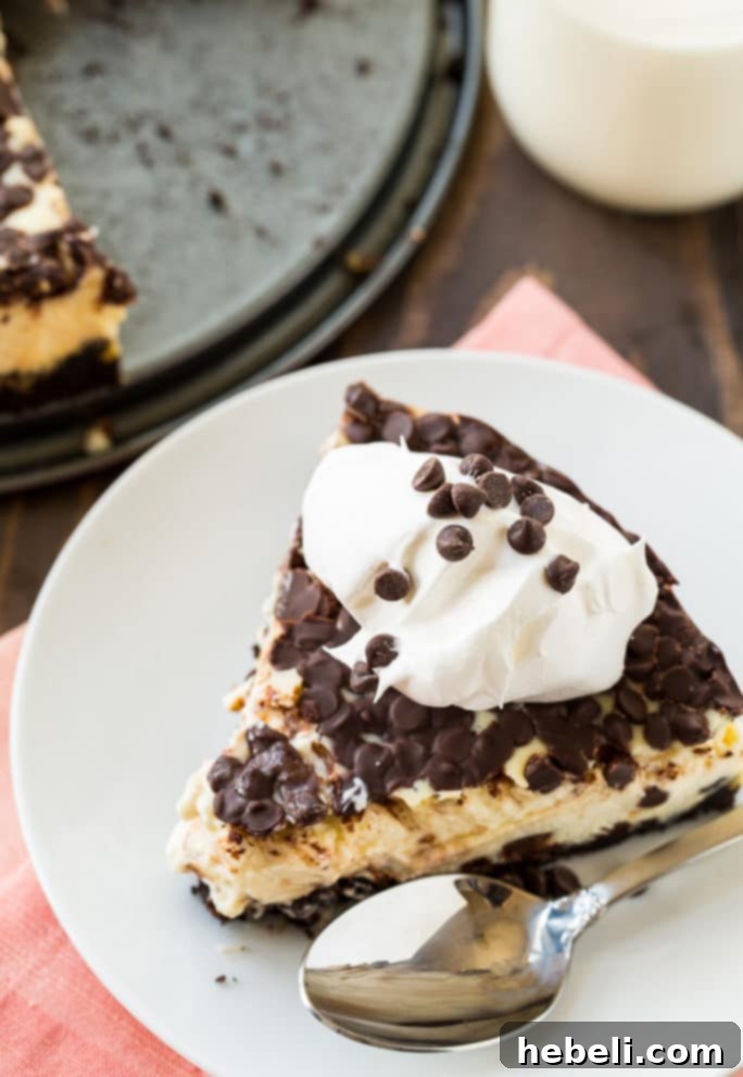 Decadent Chocolate Chip Delight 3 A close-up of a slice of Chocolate Chip Cheesecake revealing the creamy filling, mini chocolate chips, and Oreo crust.