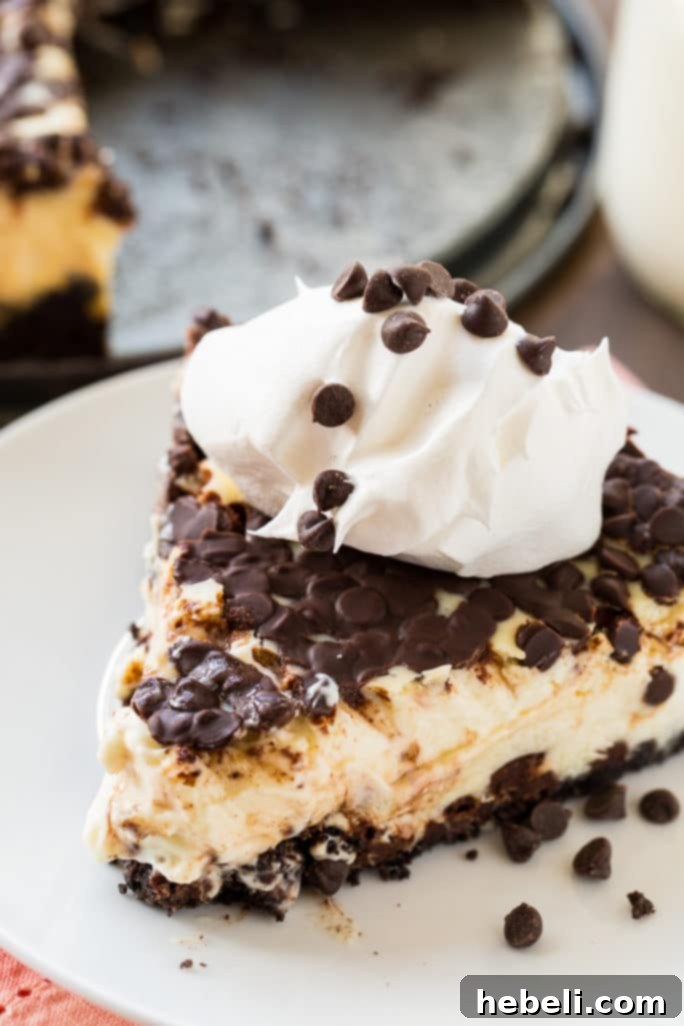 Decadent Chocolate Chip Delight 4 Overhead view of a baked Chocolate Chip Cheesecake, showcasing its golden-brown top and chocolate chip distribution.