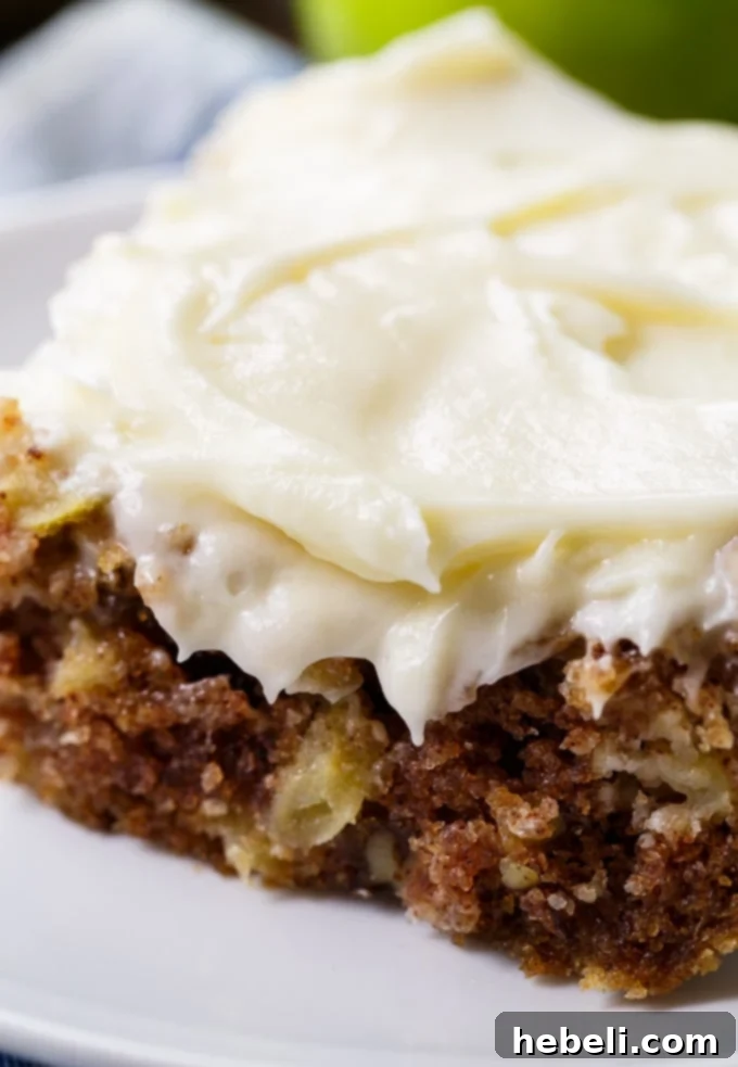 Homestyle German Apple Cake 10 Close-up view of a baked German Apple Cake showing abundant chunks of fresh, tart apple embedded within the moist cake batter.