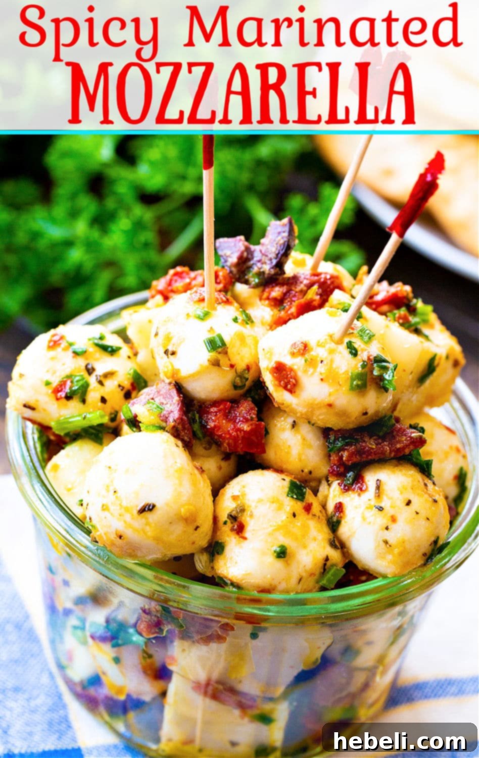 Spicy Marinated Mozzarella - close-up view showing the texture of the cheese, olives, and sun-dried tomatoes.