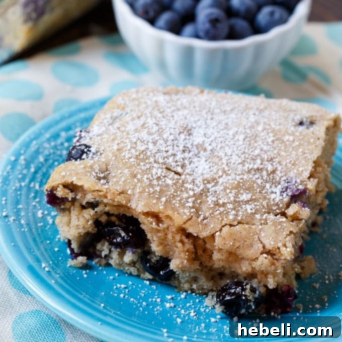 Fluffy Blueberry Pancake Dream 2 Delicious Blueberry Pancake Cake slices ready to be served