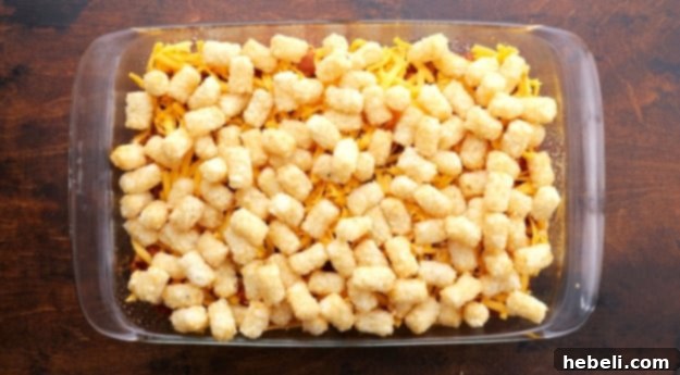 Layer of frozen tater tots placed on top of the cheese.