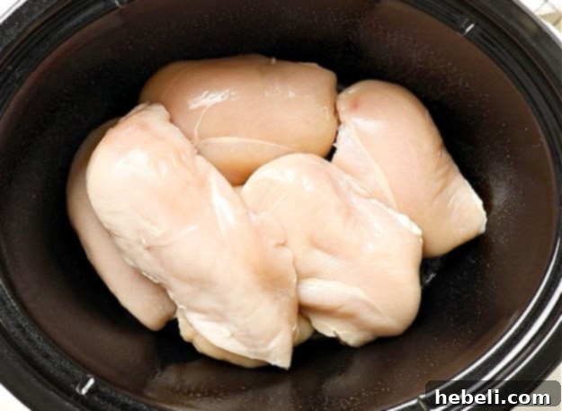 Chicken breasts neatly arranged in the slow cooker.