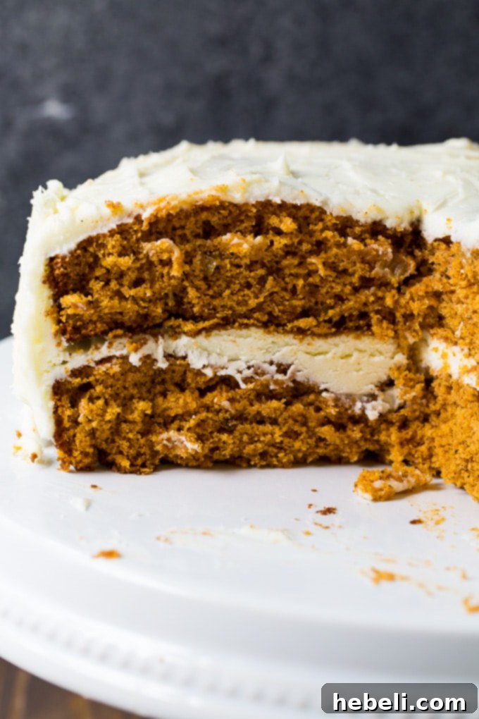 Old-Fashioned Tomato Soup Spice Cake, a vintage recipe delight