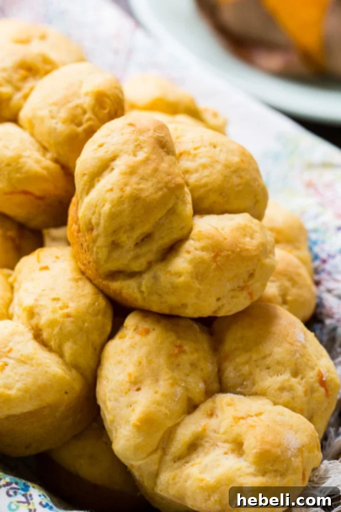 Homemade Sweet Potato Cloverleaf Rolls with a beautiful orange color