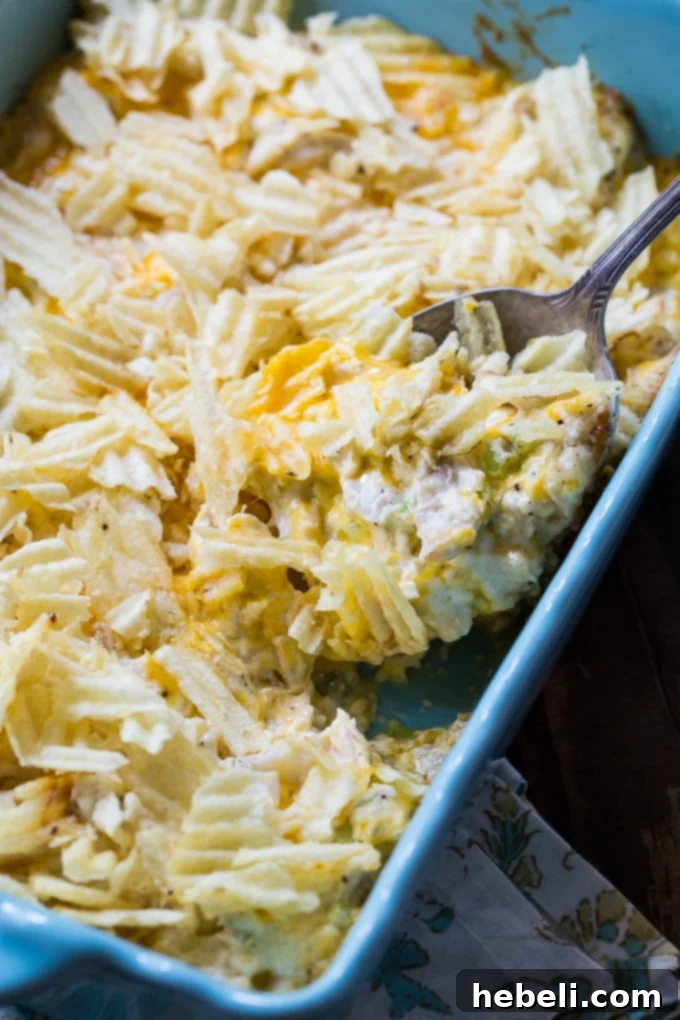 Warm Chicken Salad Bake 4 A serving of Hot Chicken Salad casserole in a white dish, garnished with fresh parsley, ready to be enjoyed. The topping is golden and crunchy.