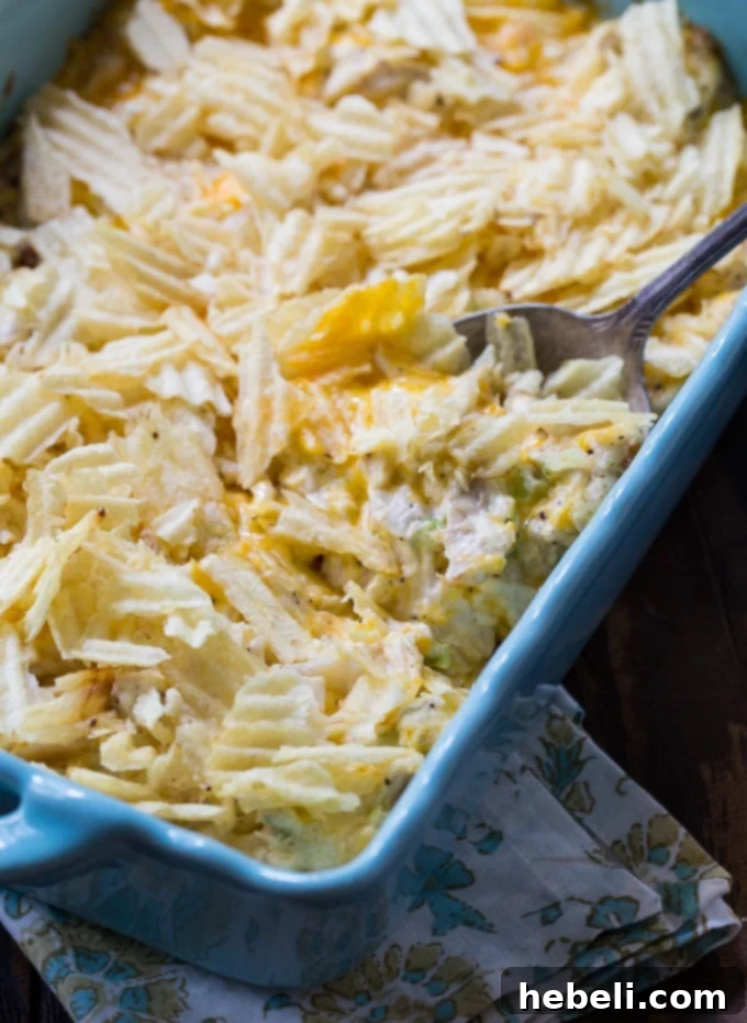 Warm Chicken Salad Bake 5 Close-up view of the Hot Chicken Salad casserole, highlighting the bubbly, creamy chicken mixture beneath the perfectly golden and crunchy potato chip topping.
