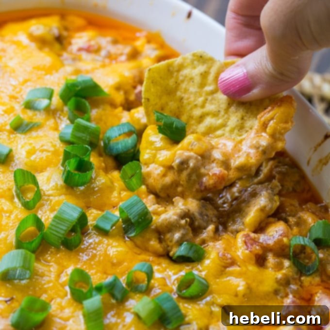 Delicious, ultra-creamy, and cheesy Spicy Sausage Cheese Dip, garnished with fresh green onions, served in a rustic bowl with tortilla chips.