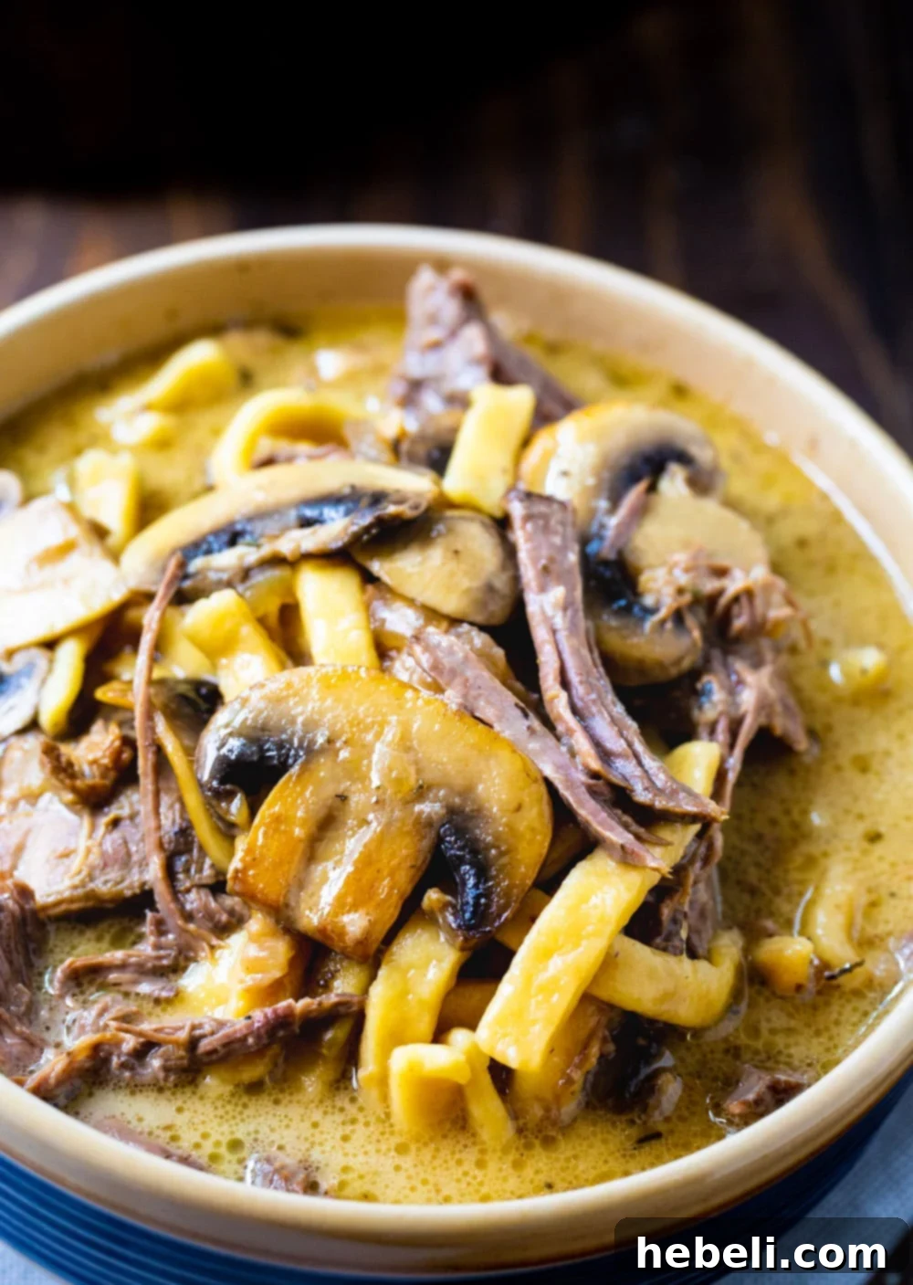 A generous serving of Slow Cooker Beef and Noodles in a rustic bowl, garnished with fresh herbs.