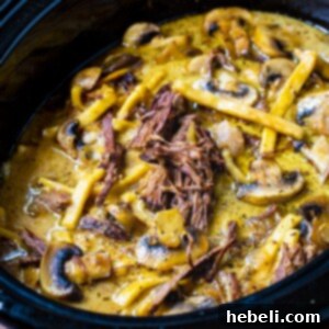 Slow Cooker Beef and Noodles with Mushrooms in a slow cokker.