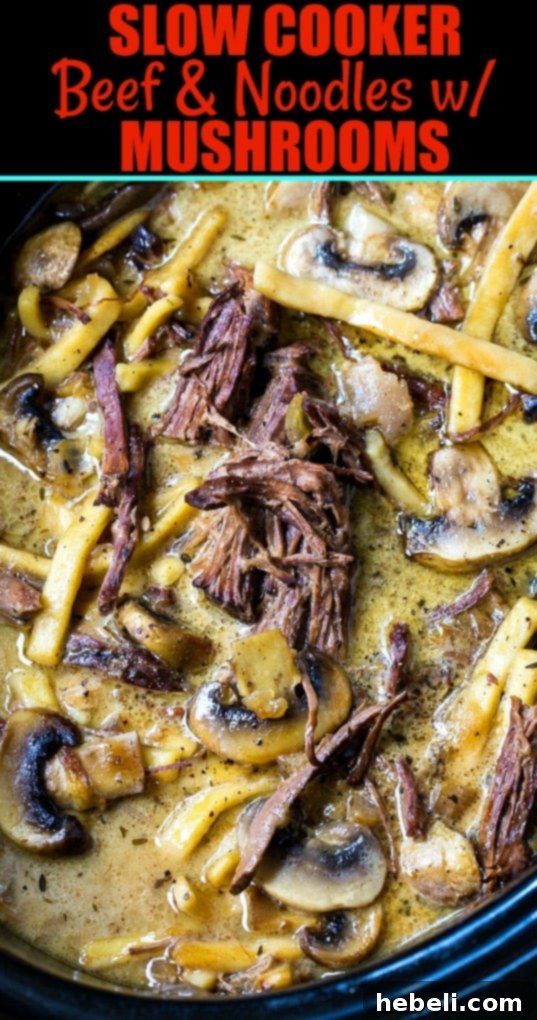 Slow Cooker Beef and Noodles with Mushrooms, a close-up of the rich texture and tender beef.