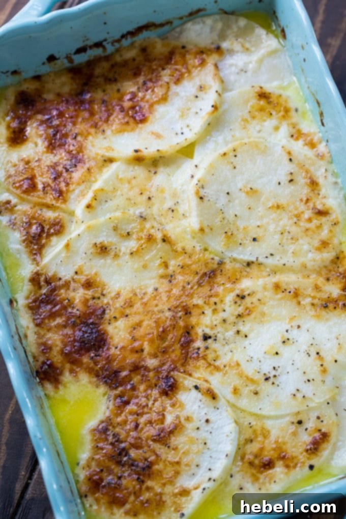 Golden Baked Turnip Gratin 2 Turnips Au Gratin