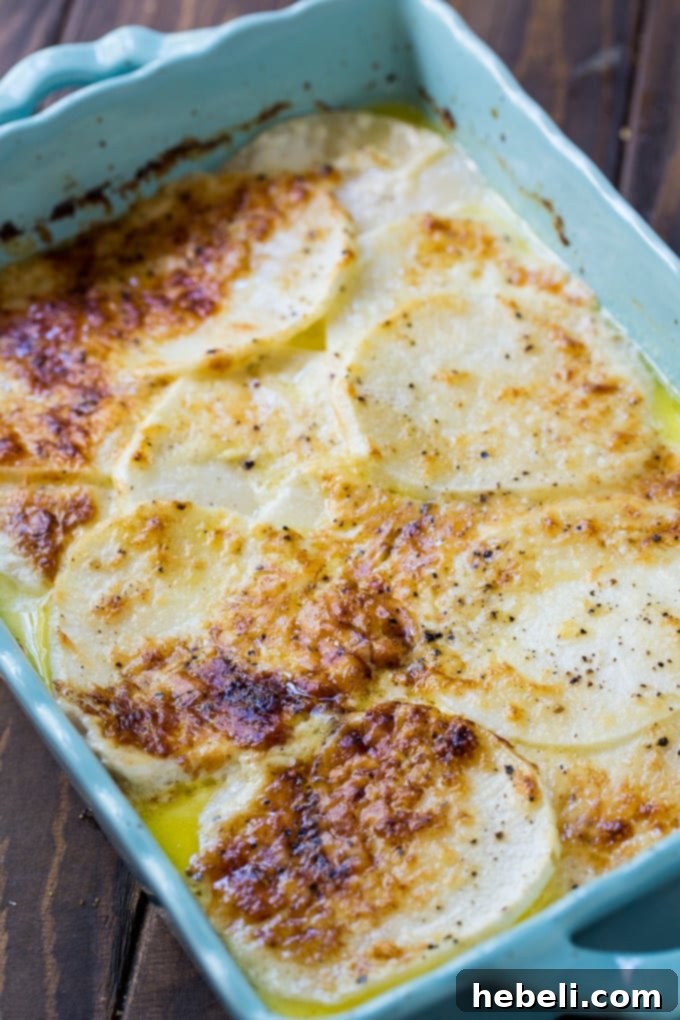 Golden Baked Turnip Gratin 3 Creamy Turnips Au Gratin