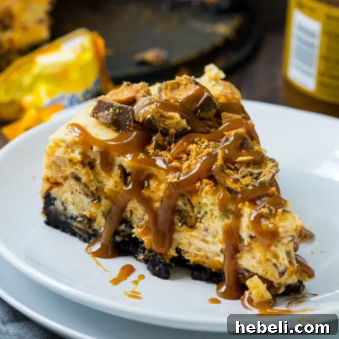 Butterfinger Crunch Cheesecake 2 Rich and creamy Butterfinger Cheesecake on a serving plate
