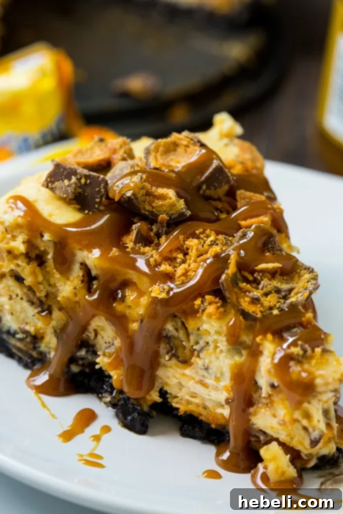 Butterfinger Crunch Cheesecake 5 Close-up of a slice of Butterfinger Cheesecake