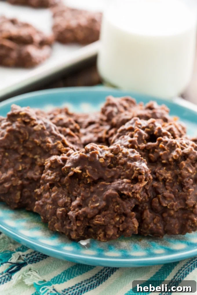 Beautifully arranged Chocolate Oatmeal Cookies on a white plate, ready to be served.
