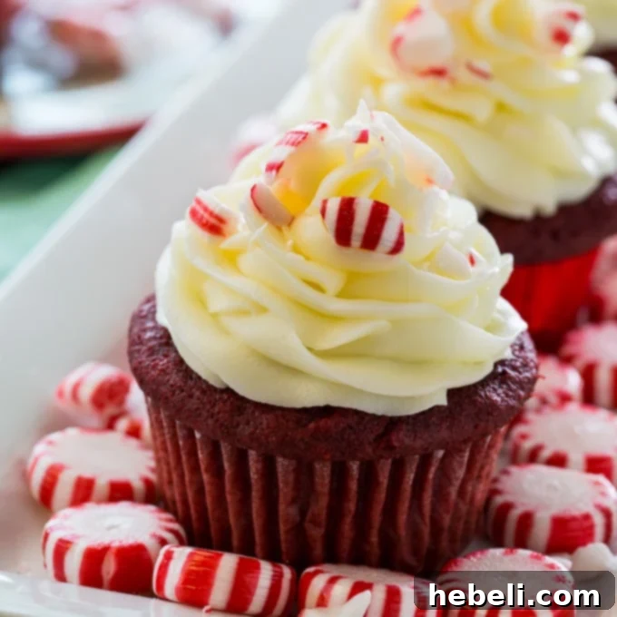 Peppermint Dream Red Velvet Cupcakes 2 Red Velvet Cupcakes with Peppermint Cream Cheese Frosting, garnished with crushed peppermints, on a festive background.