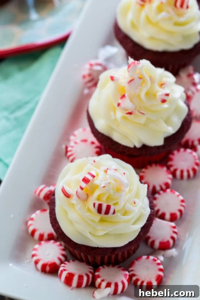 Peppermint Dream Red Velvet Cupcakes 4 A tray of freshly baked Red Velvet Cupcakes, some frosted and some unfrosted, ready for a holiday gathering.