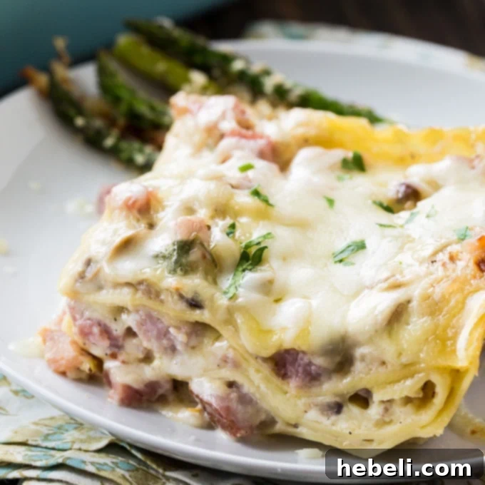 Creamy Ham Lasagna