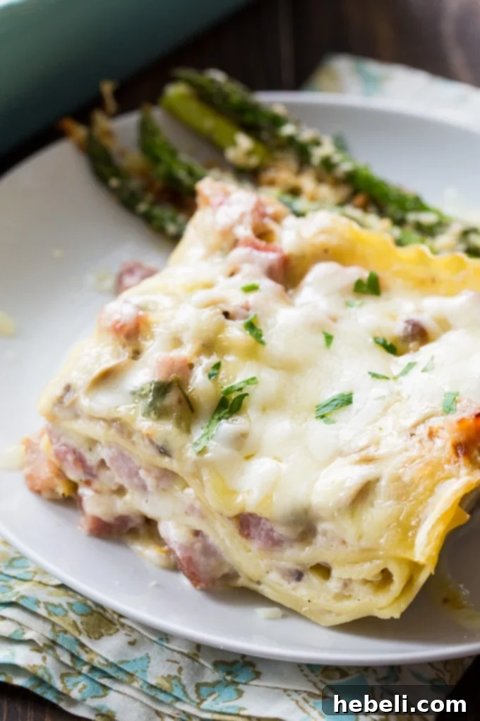 Creamy Ham Lasagna