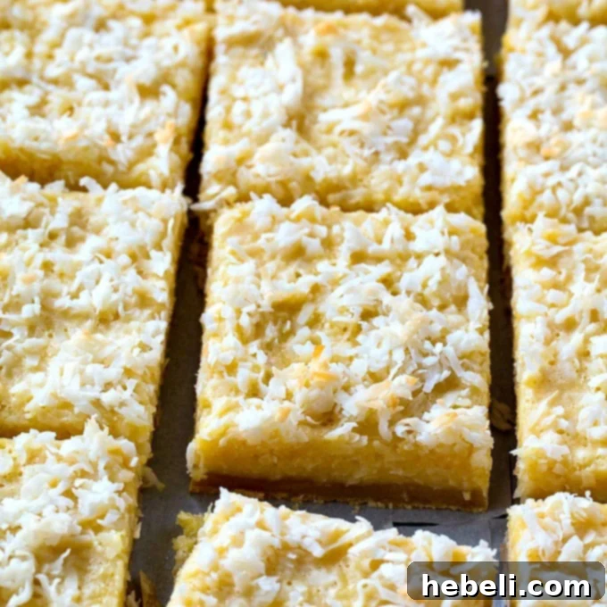 Decadent Coconut Squares 2 Delicious Buttery Coconut Bars with a golden shortbread crust, ready to serve and enjoy