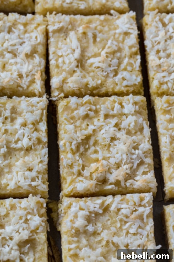 Decadent Coconut Squares 3 Close-up of the moist and chewy coconut filling on freshly baked Buttery Coconut Bars, showing off the rich texture