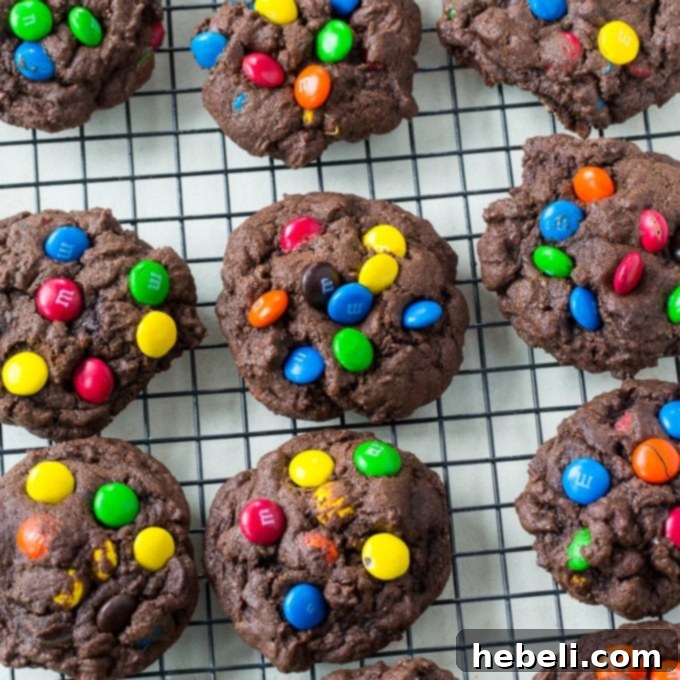 Decadent Double Chocolate M&M Cookies 2 Double Chocolate M&M Cookies, thick and soft with colorful M&Ms