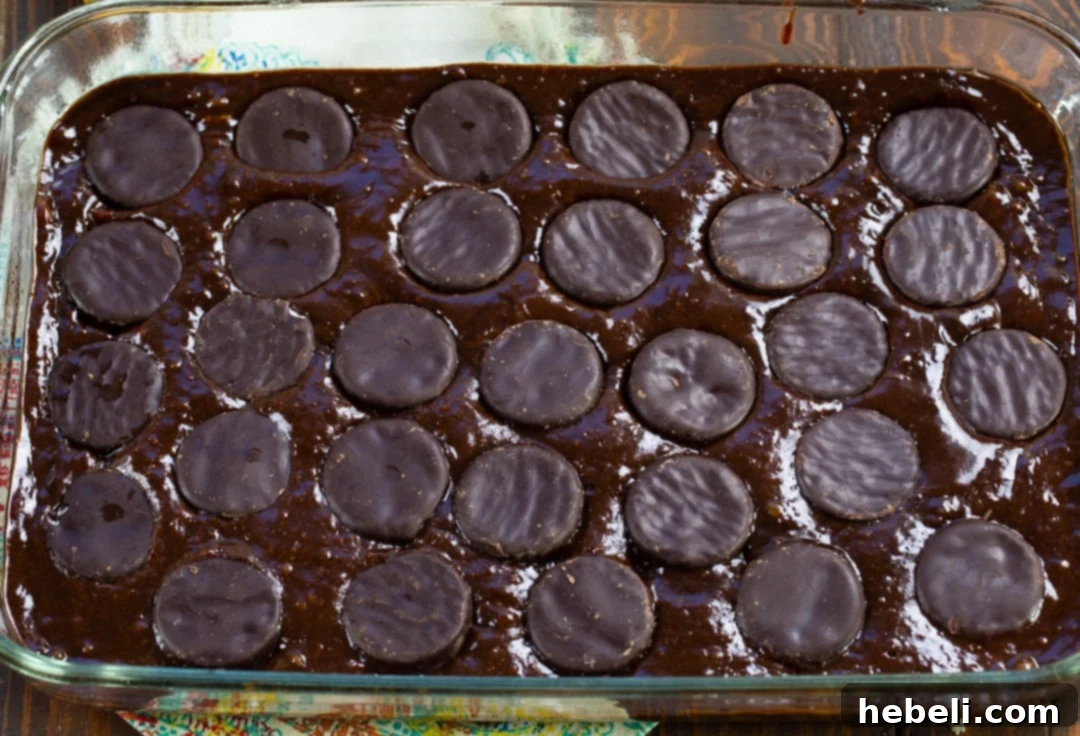 Brownie batter in a baking pan, just before going into the oven.