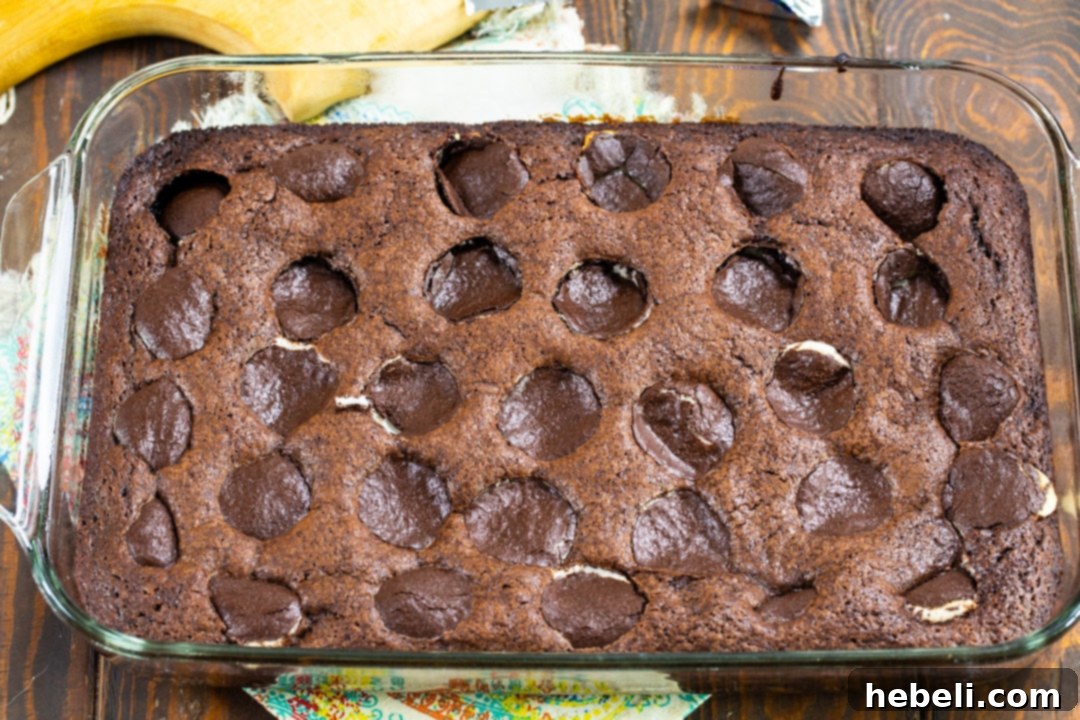 Freshly baked brownies, just removed from the oven, still in the pan.